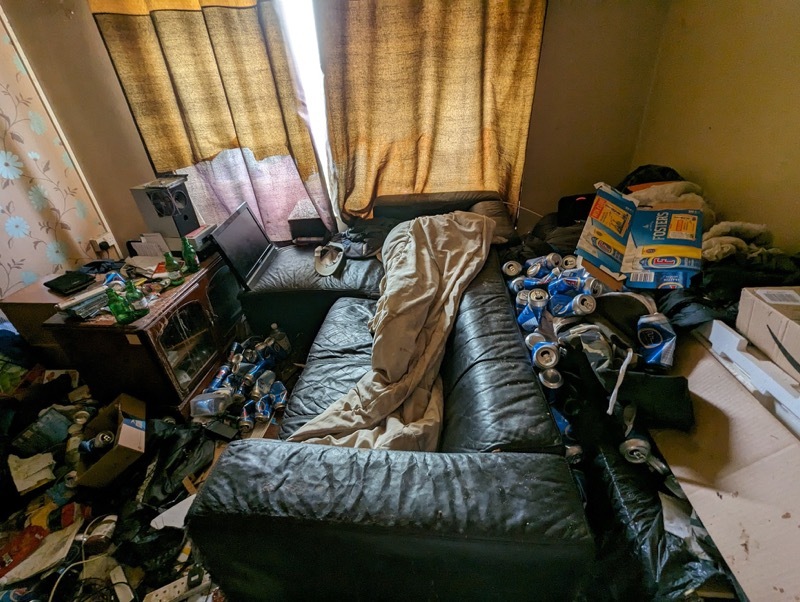 Other image for Flea-ridden cats found living in appalling conditions